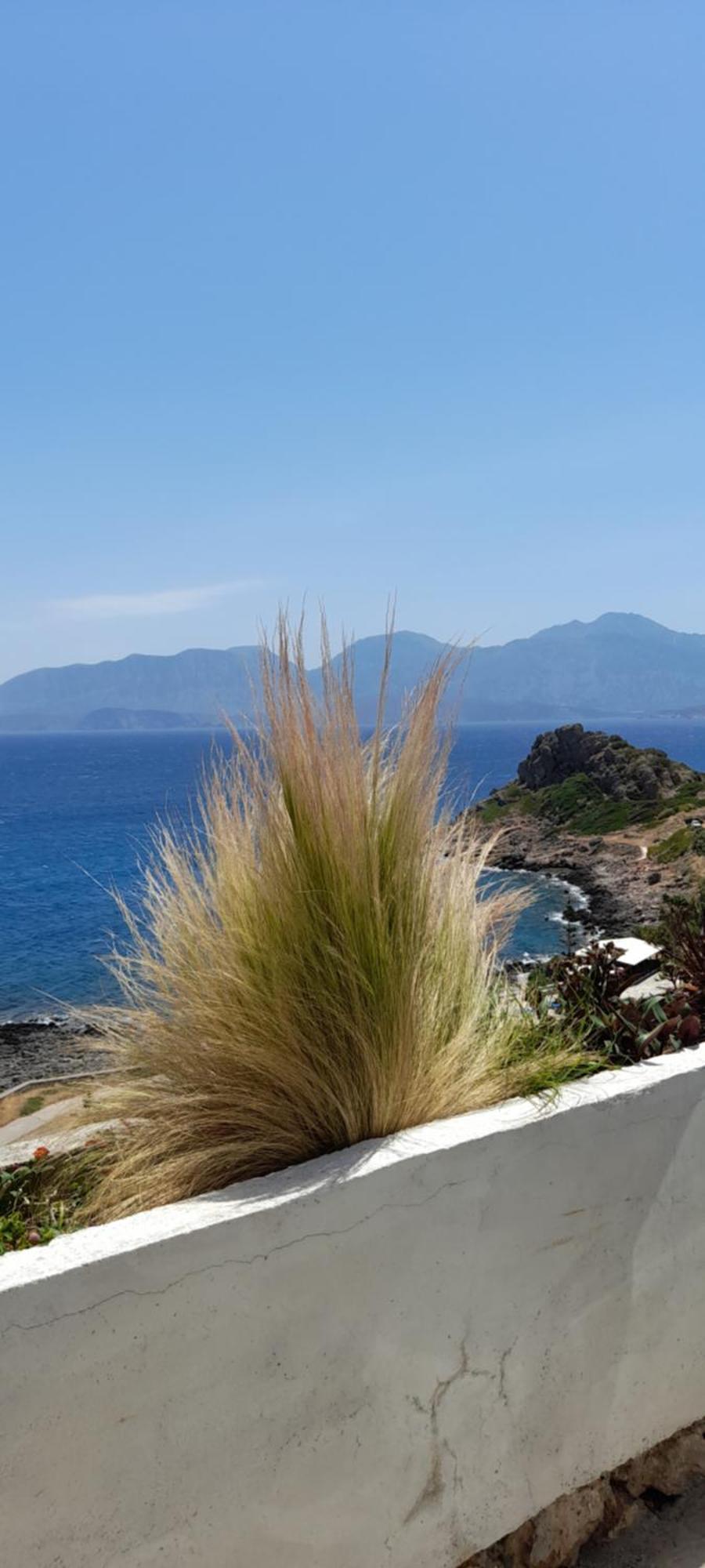 Mirabello Sea House อายิโอสนิโกลาโอส ภายนอก รูปภาพ